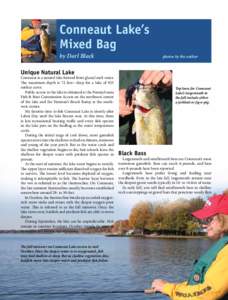 Conneaut Lake’s Mixed Bag by Darl Black photos by the author