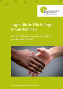 Jugendliche Flüchtlinge in Gastfamilien Eine erste Orientierung in einem großen gesellschaftlichen Feld  www.kompetenzzentrum-pflegekinder.de