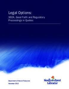 Legal Options: S92A, Good Faith and Regulatory Proceedings in Quebec Legal Options: