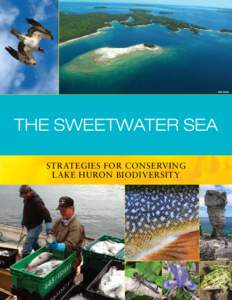 Jack Salen  The Sweetwater Sea Strategies for conserving lake Huron biodiversity