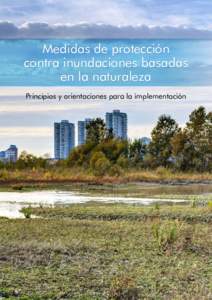 Medidas de protección contra inundaciones basadas en la naturaleza Principios y orientaciones para la implementación  ©2017 Banco Mundial