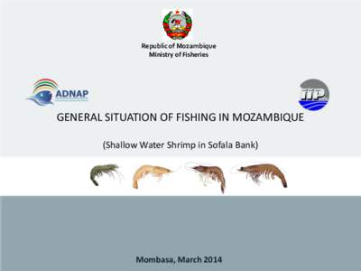 Fisheries science / Decapods / Fisheries / Food and drink / Phyla / Sofala / Fisheries management / Shrimp / Portuguese Mozambique / Fishing / Geography of Mozambique / Sofala Bank