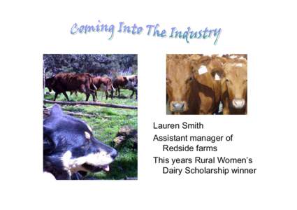 Cattle / Human geography / Dairy / Milking / Farm / Milk / Agriculture / Dairy farming