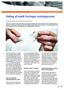 Ny KvægForskning Nr. årgang, september 2015 Køling af mælk forringer ostningsevnen Af Lotte Bach Larsen, Institut for Fødevarer, Aarhus Universitet