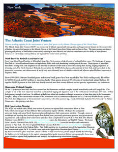 New York  The Atlantic Coast Joint Venture Partners working together for the conservation of native bird species in the Atlantic Flyway region of the United States.  The Atlantic Coast Joint Venture (ACJV) is a partnersh