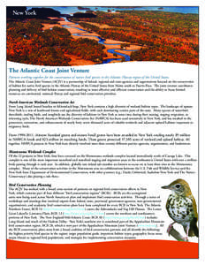 Conservation / Ducks Unlimited / North American Wetlands Conservation Act / Conservation biology / Wetland / The Nature Conservancy / Eastern Habitat Joint Venture / North American Waterfowl Management Plan / Environment / Wetland conservation in the United States / Ecology