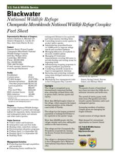 Blackwater National Wildlife Refuge Fact Sheet