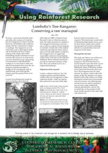 Lumholtz’s Tree-Kangaroo: Conserving a rare marsupial May 1999 We know a great deal about the koala and other cute creatures of Australia, but tree-kangaroos are elusive animals