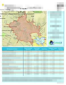 MARKET PROFILE  Frankstown and Brushton Ave Commercial District Homewood 2015 Business Summary (2 Minute Drive Time)