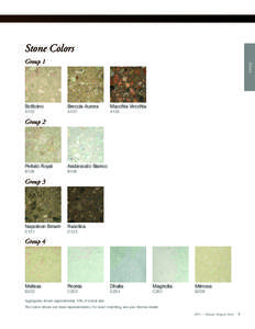 Stone Colors  Botticino A103  Stone