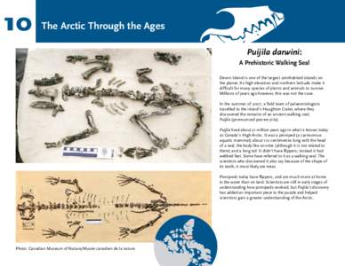 10  The Arctic Through the Ages Puijila darwini: A Prehistoric Walking Seal Devon Island is one of the largest uninhabited islands on