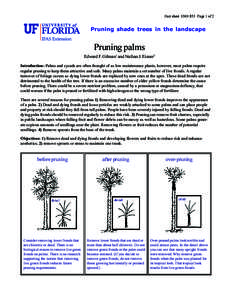 Fact sheet ENH 853 Page 1 of 2  Pruning shade trees in the landscape Pruning palms Edward F. Gilman1 and Nathan J. Eisner2