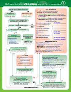 Staff presented with a WILD ANIMAL species, hybrid, or question CALL AUTHORITIES Does your clinic have a WILDLIFE POLICY? YES