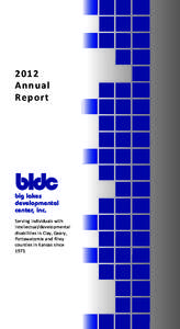 2012 Annual Report bldc big lakes