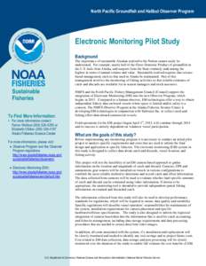 Electronic Monitoring Pilot Study