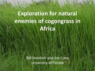 Exploration for natural enemies of cogongrass in Africa Bill Overholt and Jim Cuda University of Florida