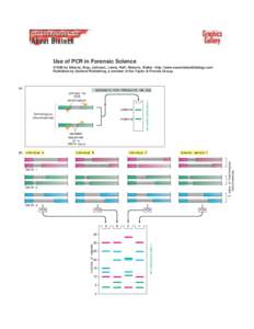 Use of PCR in Forensic Science ©1998 by Alberts, Bray, Johnson, Lewis, Raff, Roberts, Walter . http://www.essentialcellbiology.com Published by Garland Publishing, a member of the Taylor & Francis Group.  (A)