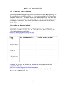 Microsoft Word - science of fire teaching activity.doc