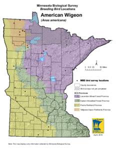 Minnesota Biological Survey Breeding Bird Locations American Wigeon (Anas americana)