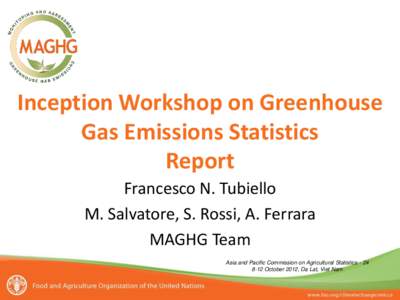 Inception Workshop on Greenhouse Gas Emissions Statistics Report Francesco N. Tubiello M. Salvatore, S. Rossi, A. Ferrara MAGHG Team