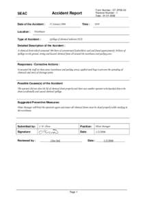 Date of the Accident : Location : Form Number : EF-EP05-02 Revision Number : 1 Date : [removed]