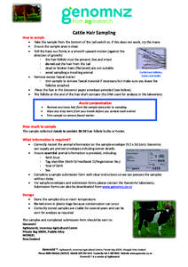 `  Cattle Hair Sampling How to sample  Take the sample from the bottom of the tail switch or, if this does not work, try the mane  Ensure the sample area is clean