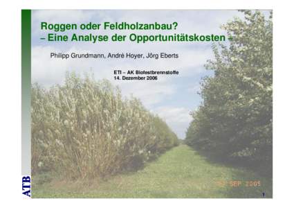 Microsoft PowerPoint - 061215_Grundmann_2006_Biofestbrennstoffe_Oekonomie