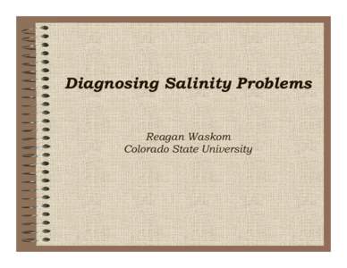 Diagnosing Salinity Problems Reagan Waskom Colorado State University Causal Factors Geology: weathering of