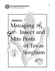 BManaging Insect and Mite Pests
