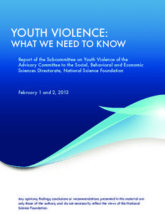 YOUTH VIOLENCE:  WHAT WE NEED TO KNOW Report of the Subcommittee on Youth Violence of the Advisory Committee to the Social, Behavioral and Economic Sciences Directorate, National Science Foundation