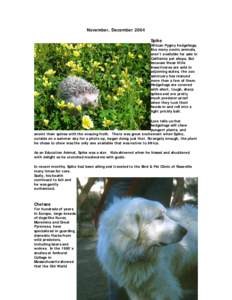 Agriculture / Great Pyrenees / Molossers / Oregon Zoo / Livestock guardian dog / Gita / Hedgehog / Zoo / Zoology / Biology / Dog breeds