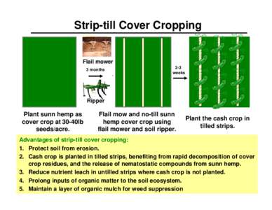 Land management / Sustainable agriculture / Agronomy / Crops / No-till farming / Mulch / Living mulch / Cover crop / Crop rotation / Agriculture / Agricultural soil science / Soil science