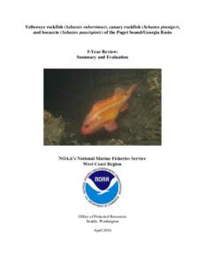 Yelloweye rockfish (Sebastes ruberrimus), canary rockfish (Sebastes pinniger), and bocaccio (Sebastes paucispinis) of the Puget Sound/Georgia Basin 5-Year Review: Summary and Evaluation