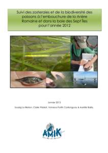 Suivi des zosteraies et de la biodiversité des poissons à l’embouchure de la rivière Romaine et dans la baie des Sept Îles pour l’année 2012 Agen