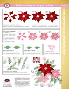 Multi-Step Poinsettia Stamping Tip Sheet  Amy Tedder DESIGNS