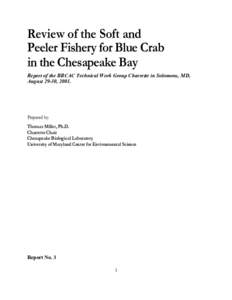 Malacostraca / Crabs / Callinectes sapidus / Crab trap / Crab fisheries / Crab / Stock assessment / Chesapeake Bay / Trotline