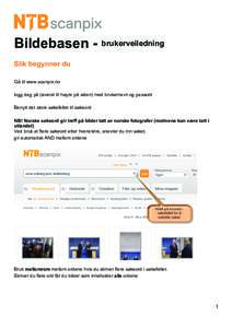 Microsoft Word - Bildebasen_bruksanvisning2014.docx