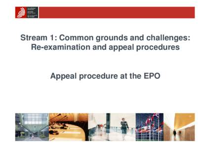Reformatio in peius / Case Law of the Boards of Appeal of the European Patent Office / European Patent Office / Appeal / Petition for review under the European Patent Convention / Opposition procedure before the European Patent Office / European Patent Organisation / Law / Appeal procedure before the European Patent Office