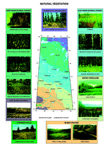 NATURAL VEGETATION NORTHERN BOREAL FOREST SUBARCTIC WOODLAND  SOUTHERN BOREAL FOREST