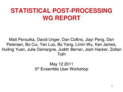 STATISTICAL POST-PROCESSING WG REPORT Matt Peroutka, David Unger, Dan Collins, Jiayi Peng, Dan Petersen, Bo Cui, Yan Luo, Bo Yang, Limin Wu, Ken James, Huiling Yuan, Julie Demargne, Judith Berner, Josh Hacker, Zoltan