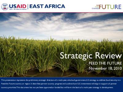 Strategic Review FEED THE FUTURE November 18, 2010 This presentation represents the preliminary strategic direction of a multi-year, whole-of-government, U.S. strategy to address food security in a Feed the Future countr