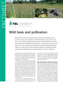 FAC TSHEE T Wild bees and pollination Recent studies have shown that wild bees and other wild pollinators have a crucial role to play in the pollination of both wild plants and crop plants. However, over the past few dec