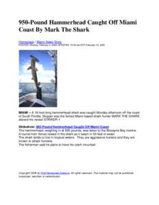 950-Pound Hammerhead Caught Off Miami Coast By Mark The Shark Homepage / Miami News Story POSTED: Monday, February 9, 2009 UPDATED: 10:00 am EST February 10, 2009  MIAMI -- A 16-foot-long hammerhead shark was caught Mond