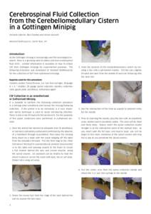 Cerebrospinal Fluid Collection from the Cerebellomedullary Cistern in a Gottingen Minipig Michelle Salerno, Ben Grambo and Nicole Navratil Marshall BioResources, North Rose, NY