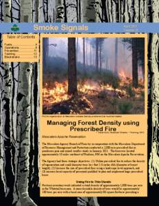 Forestry / Firefighting / Ecological succession / Fire / Wildfire suppression / Wildfire / Controlled burn / Cerro Grande Fire / Wildfires / Occupational safety and health / Systems ecology