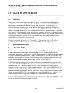 EMERA NEWFOUNDLAND AND LABRADOR MARITIME LINK ENVIRONMENTAL ASSESSMENT REPORT 6.0  ISLAND OF NEWFOUNDLAND