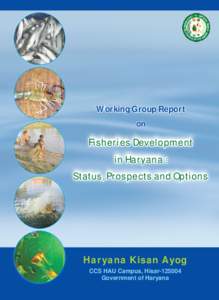 Working Group Report on Fisheries Development in Haryana : Status, Prospects and Options