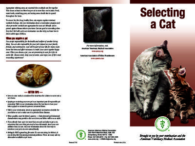 Selecting a Cat (English)