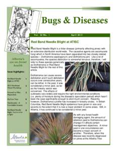 Western Canada / Spruce Budworm / Mountain pine beetle / Pine / Hawkweed / Alberta / Flora of the United States / Flora of Canada / Whitebark Pine