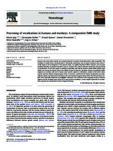 Processing of vocalizations in humans and monkeys: A comparative fMRI study